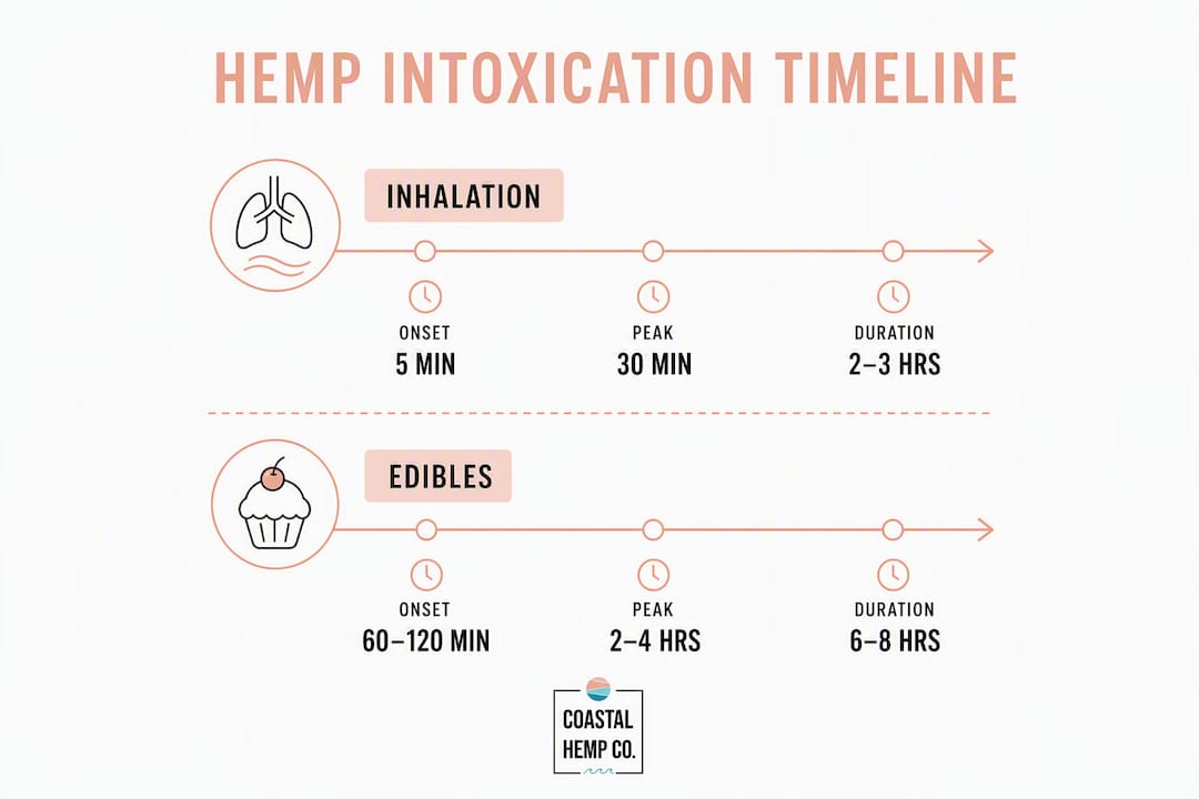 Infographic illustrating hemp intoxication onset and duration timeline