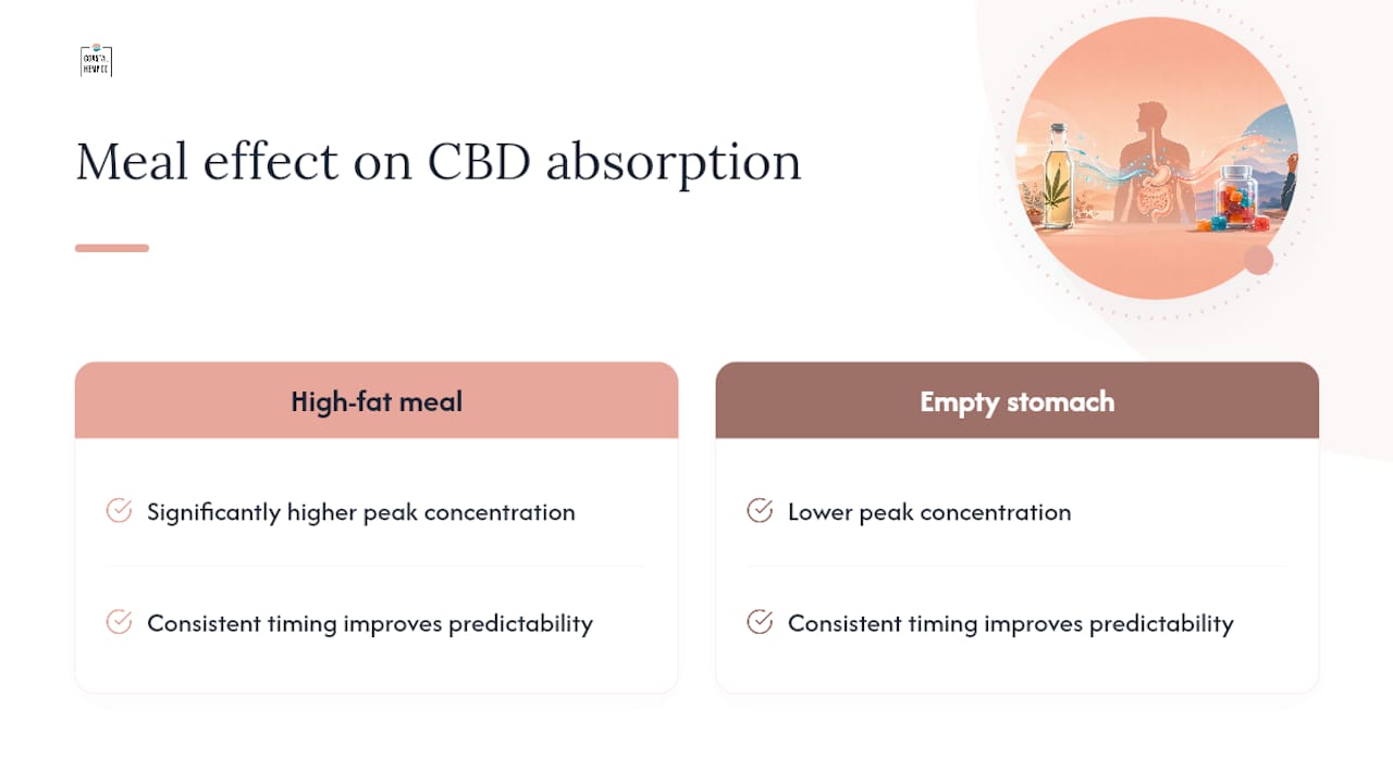 Does eating before taking CBD really make a difference? — overview diagram