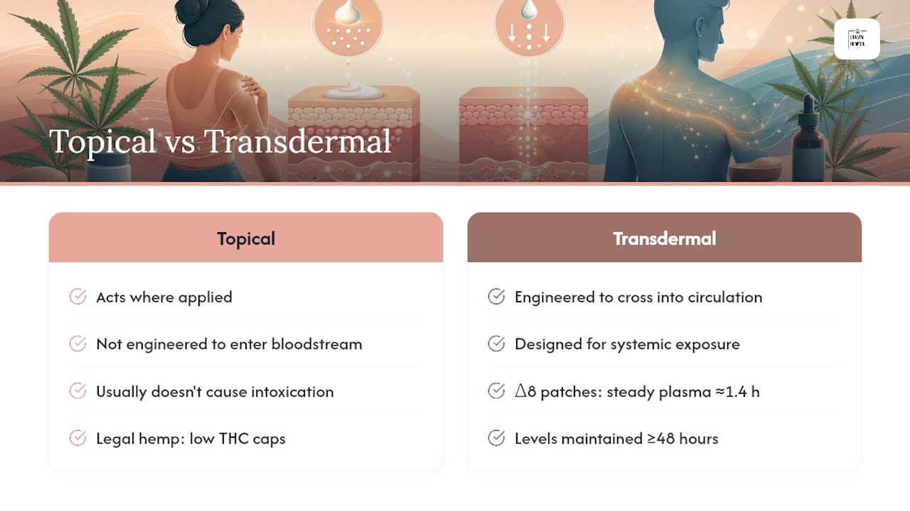 Topical vs. Transdermal: Which One Actually Reaches Your Bloodstream? — overview diagram