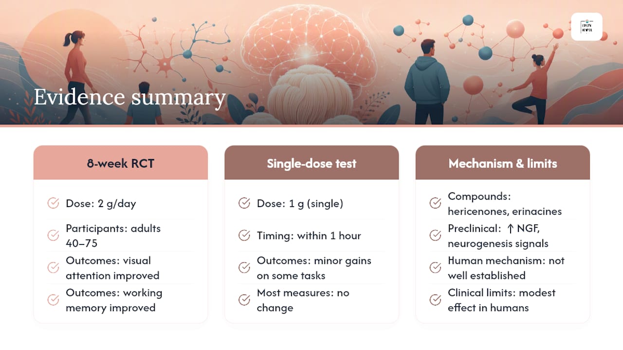 Cognitive benefits: attention, memory, and the neurogenesis question — overview diagram
