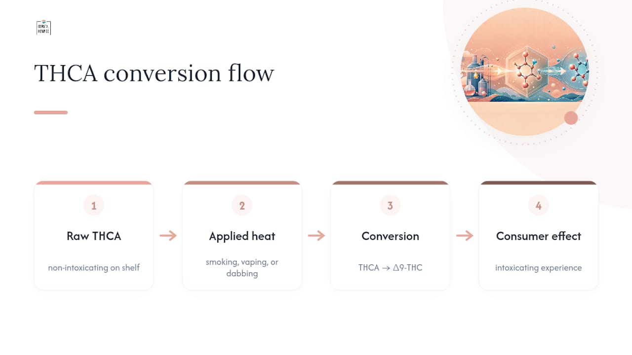 Coastalhemp's Take on the THCA Craze — overview diagram