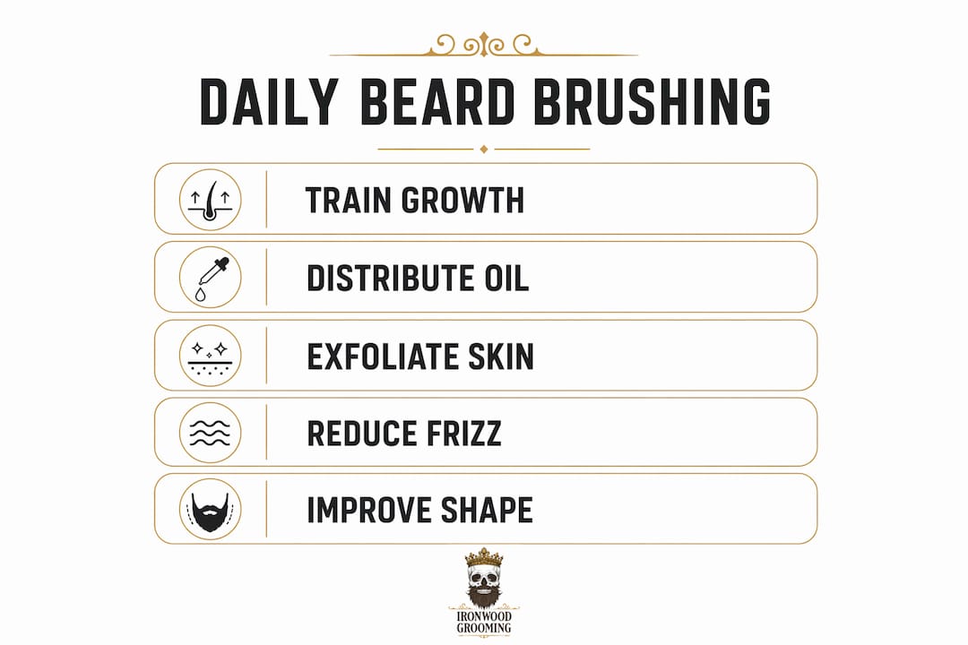 Infographic showing benefits of daily beard brushing
