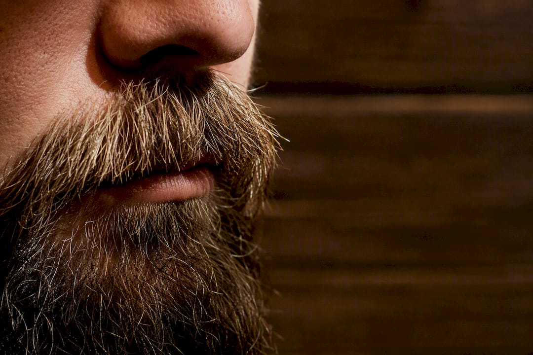 Macro close-up of coarse mustache hair texture