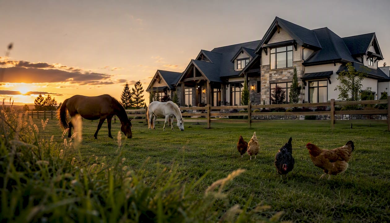 Luxury acreage home exterior with horses and chickens