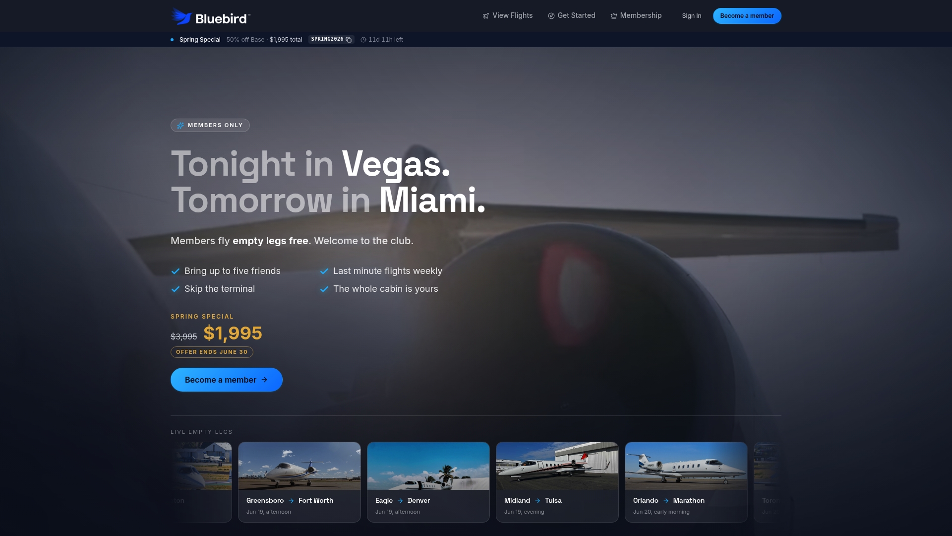 https://bluebirdjets.com