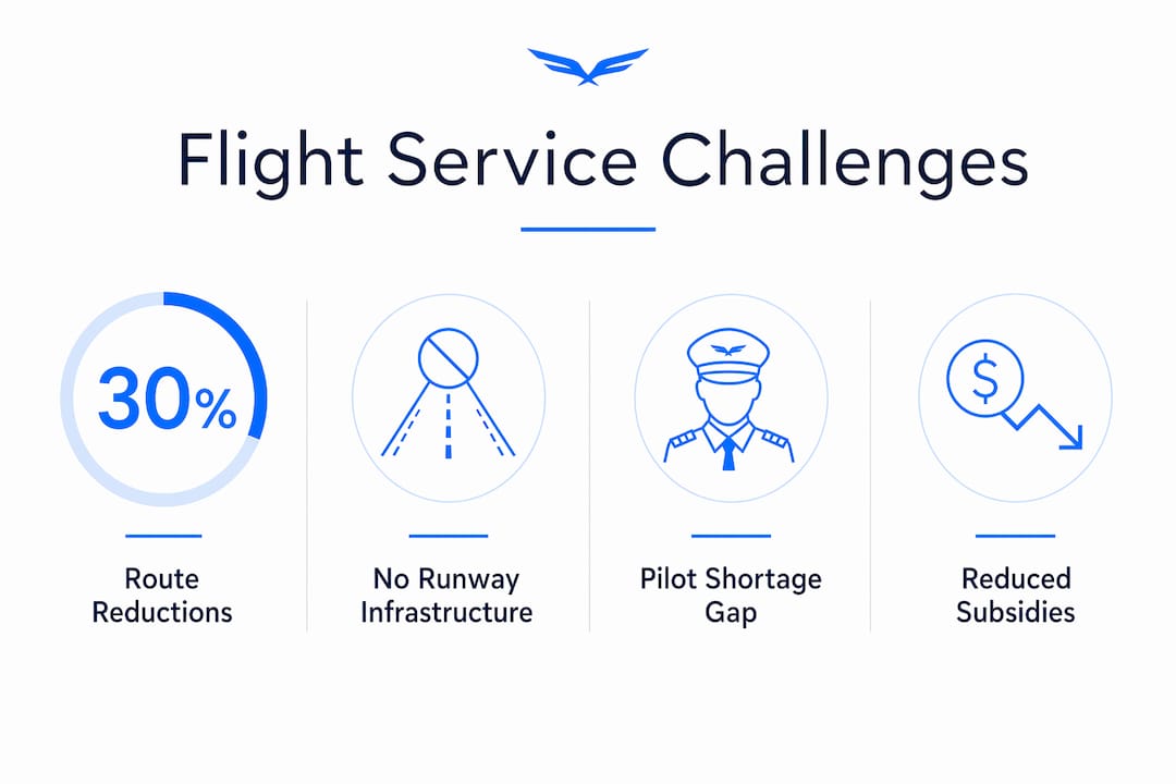 Infographic showing main reasons for missing flights