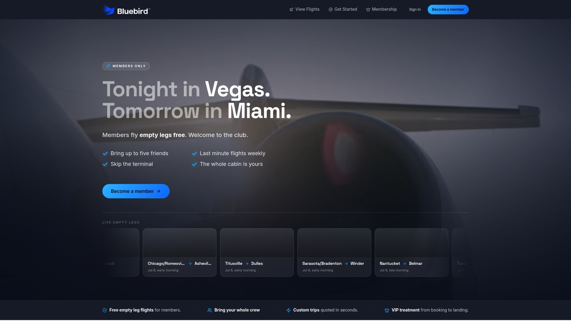 https://bluebirdjets.com
