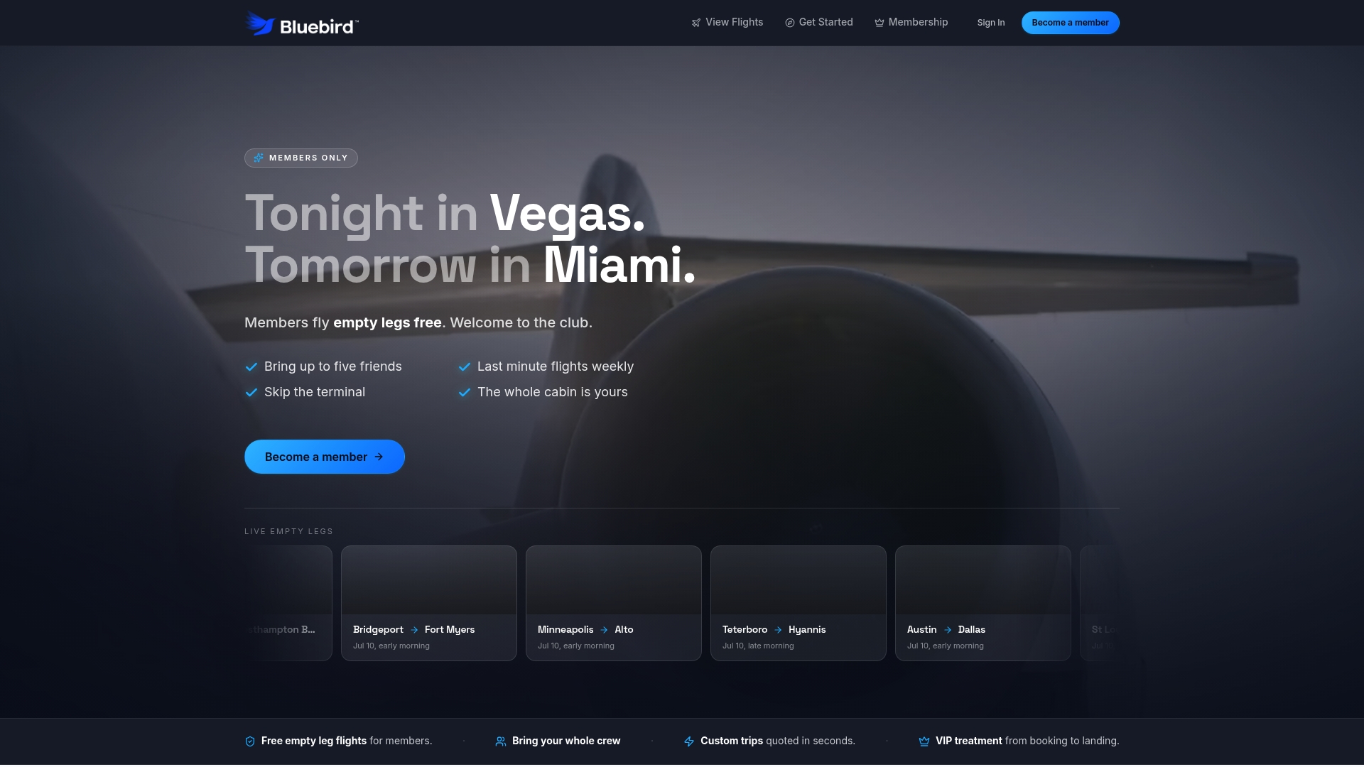 https://bluebirdjets.com