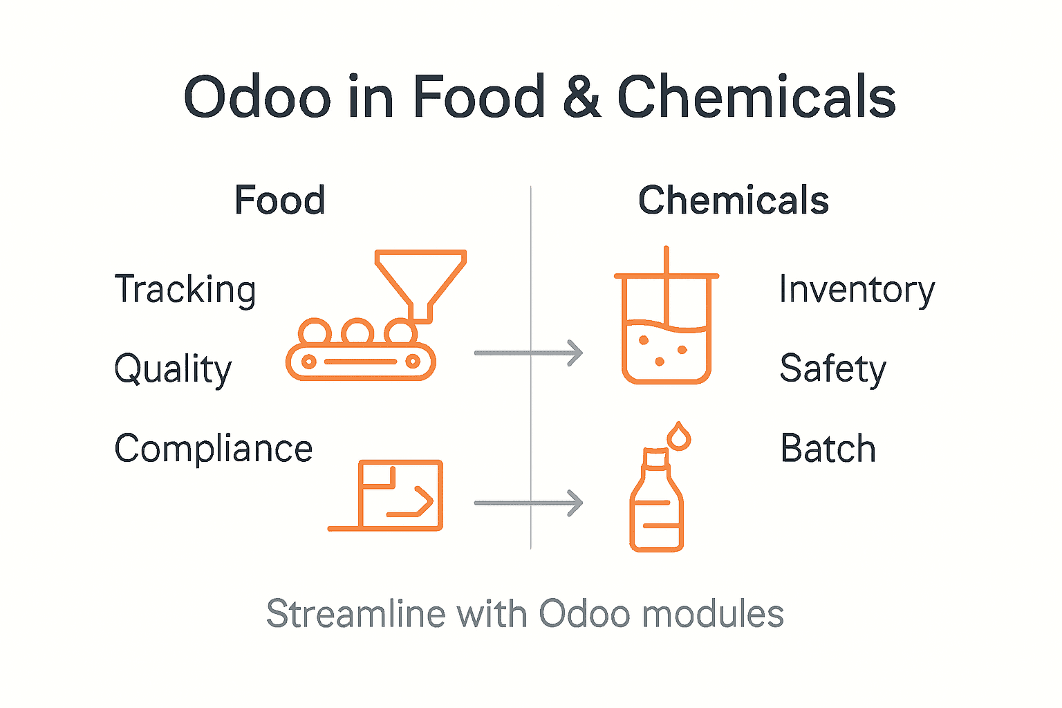 Infographic about Odoo food and chemical process steps