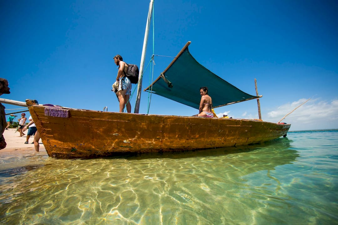 Wildlife & Waterscapes: Kruger Safari & Mozambique Coast ...