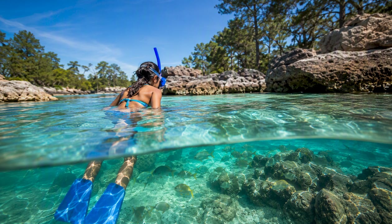 Snorkeler in clear water near St Andrews rock jetties