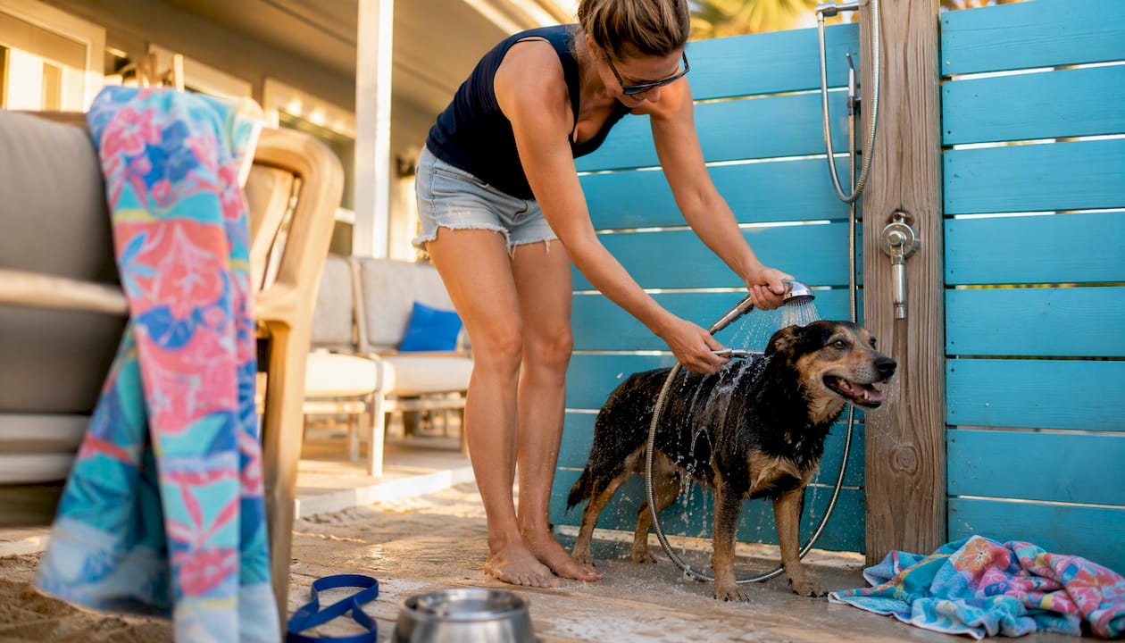 Owner rinsing dog at outdoor shower after beach visit