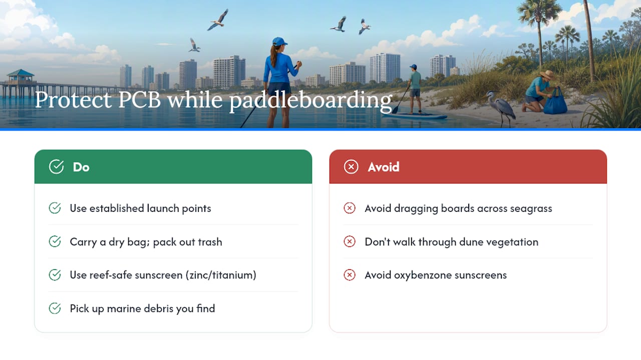 How can you protect Panama City Beach's environment while paddleboarding? — overview diagram