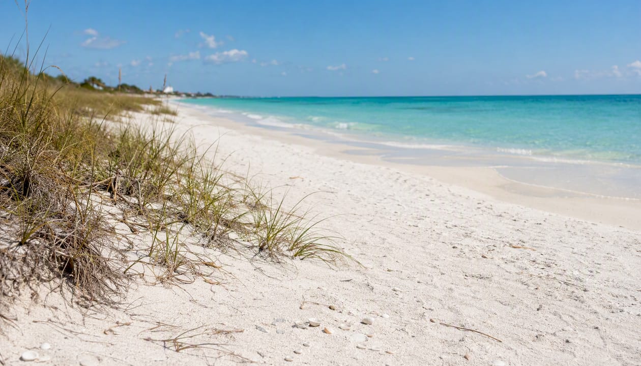 Calm turquoise Caribbean beach with coral white sand