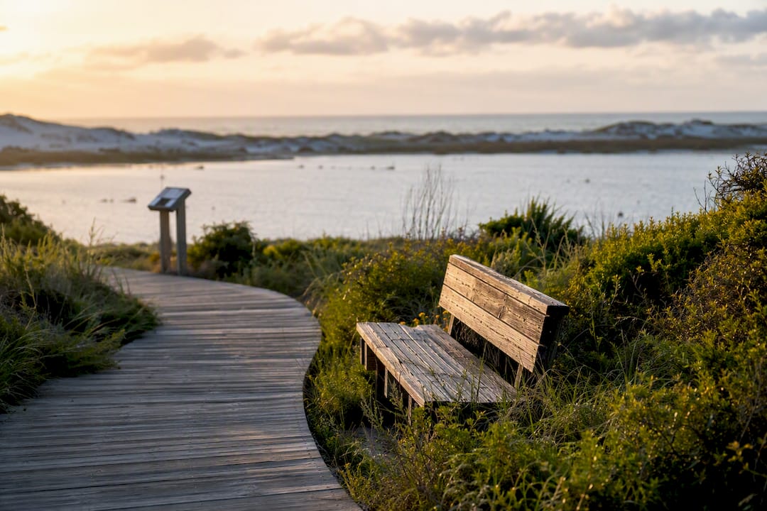 Boardwalk over dunes at Grayton Beach State Park