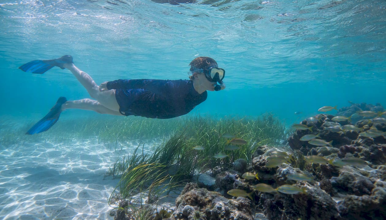 Snorkeling Orange Beach: Best Spots, Timing, and Safety