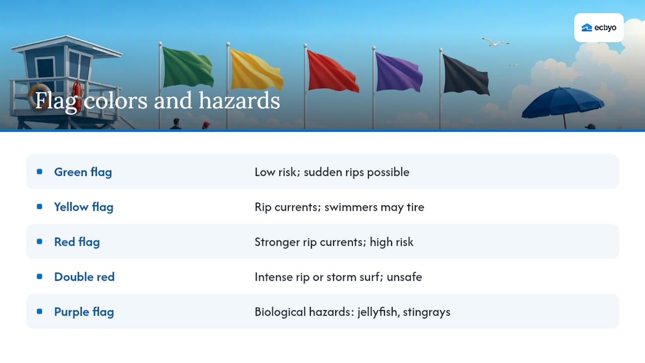 Diagram of beach flag colors and hazards
