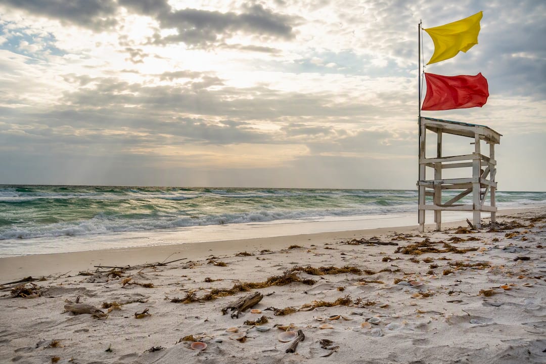 Beach flags warning of rip currents and rough surf