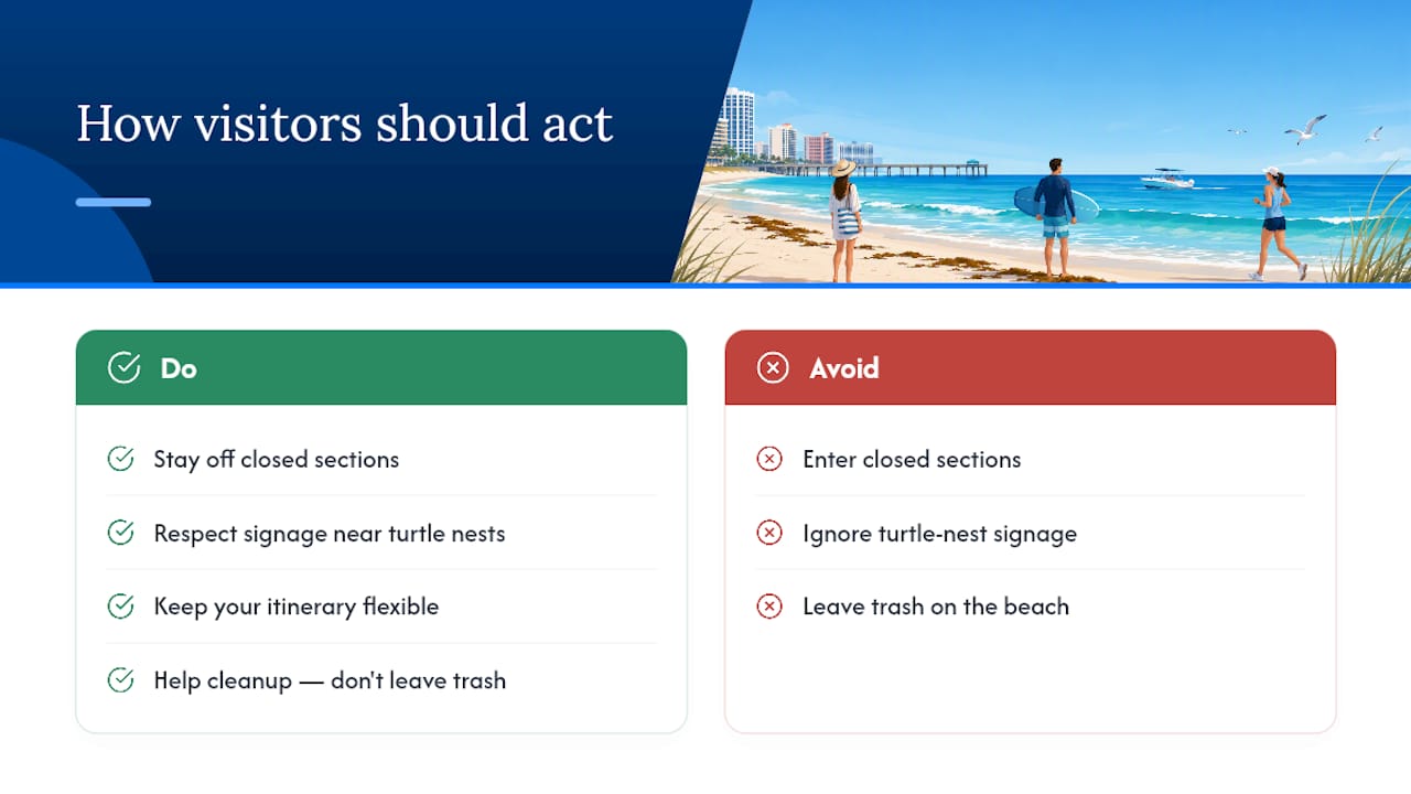 A Local's Honest Take on Seaweed and Beach Days &mdash; overview diagram