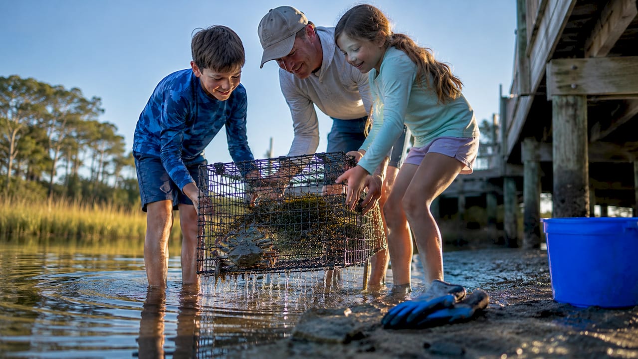 Gulf Shores Crabbing for Families: Catch Blue Crabs With Up to 5 Traps