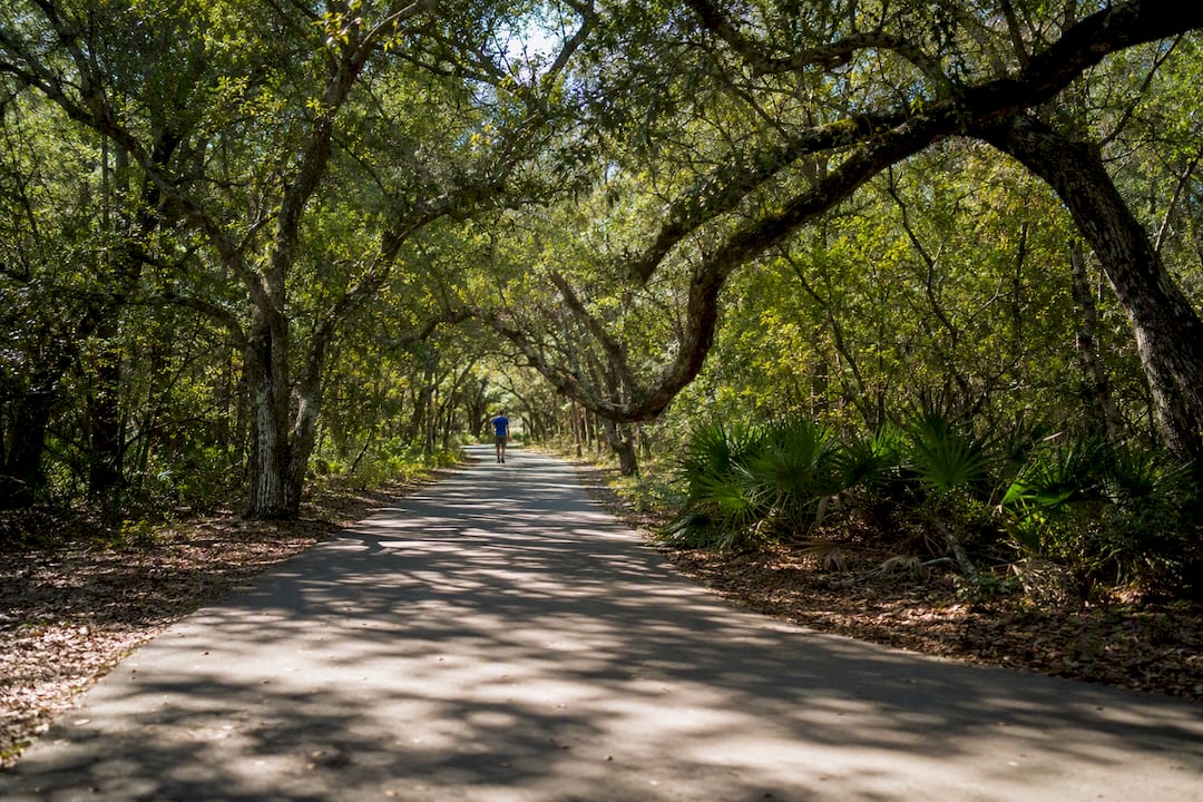 Shaded paved trail under live oaks