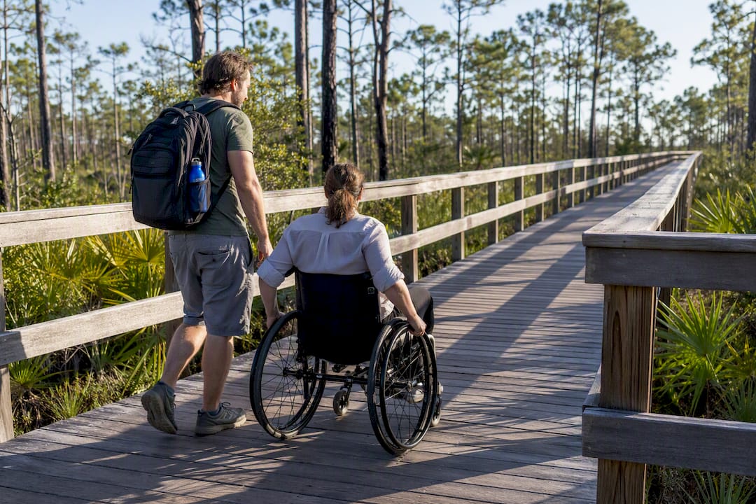 Accessible boardwalk through Conservation Park