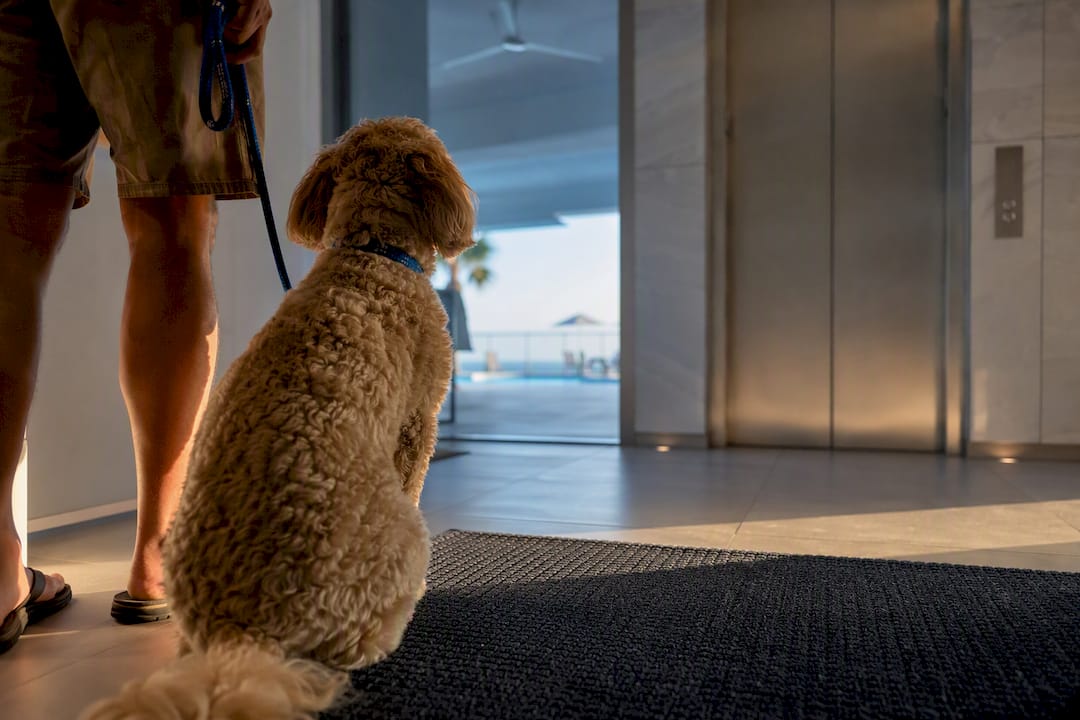 Stop Mismatched Bookings: Gulf Shores Condo vs House Pet Rules