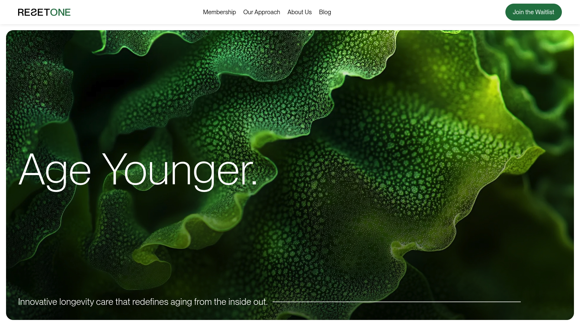 https://rs1health.com