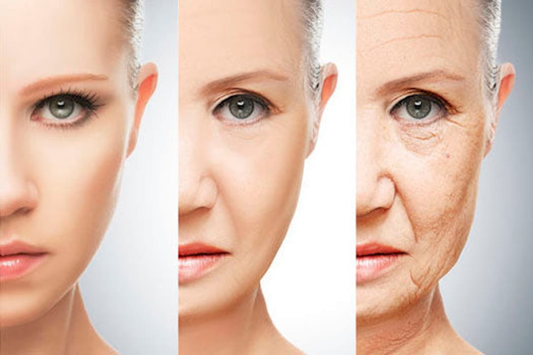 Top 3 Longevity Programs in 2026: Which One Will Actually Reverse Your Biological Age?