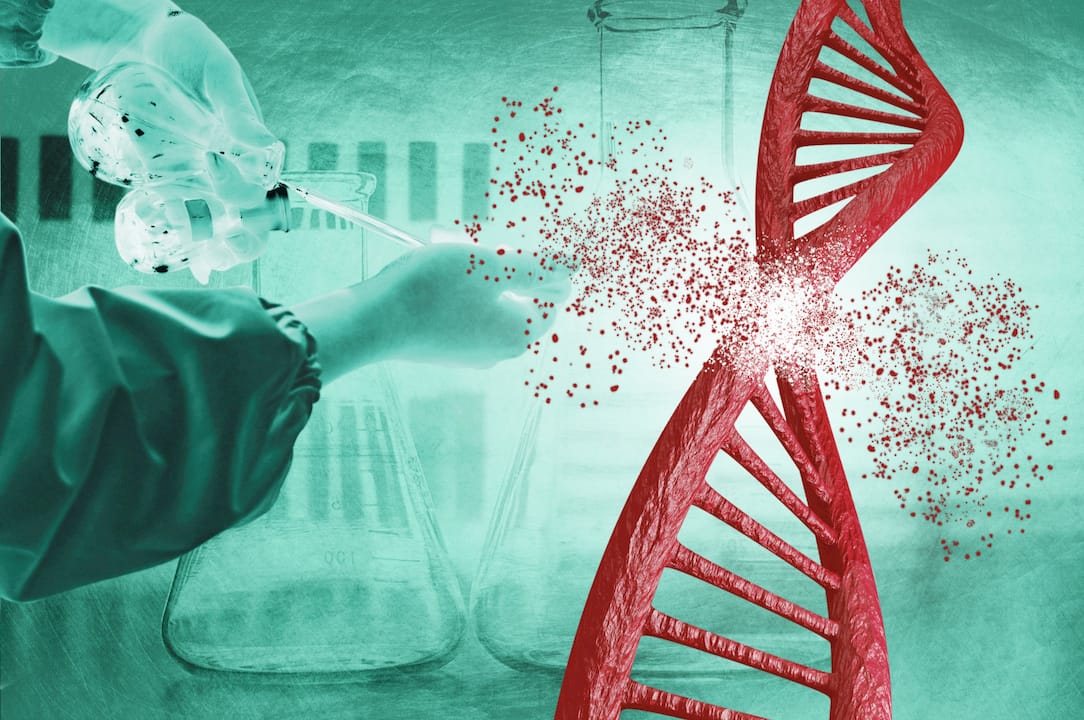 Top 6 Biohacking Coaching Alternatives 2026
