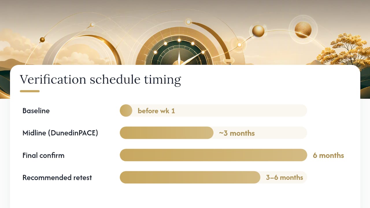 How TIMELESS Verifies Every Result — overview diagram