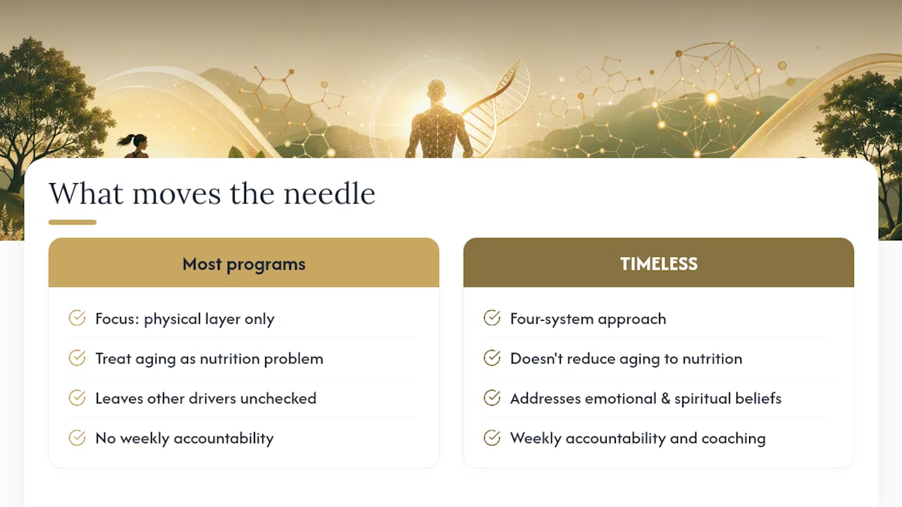 My Honest Take on What Actually Moves the Needle — overview diagram