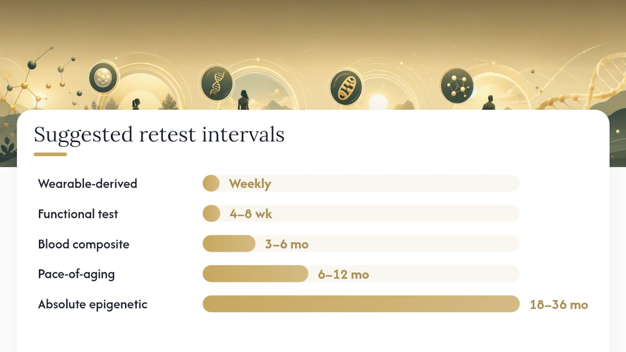 What Are the Recommended Retest Intervals for Each Test Type? — overview diagram