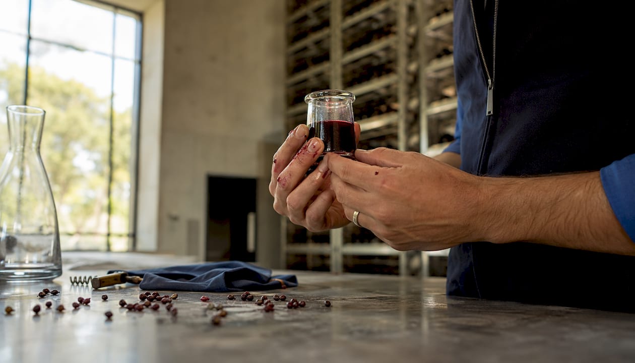 Winemaker holding red wine sample glass