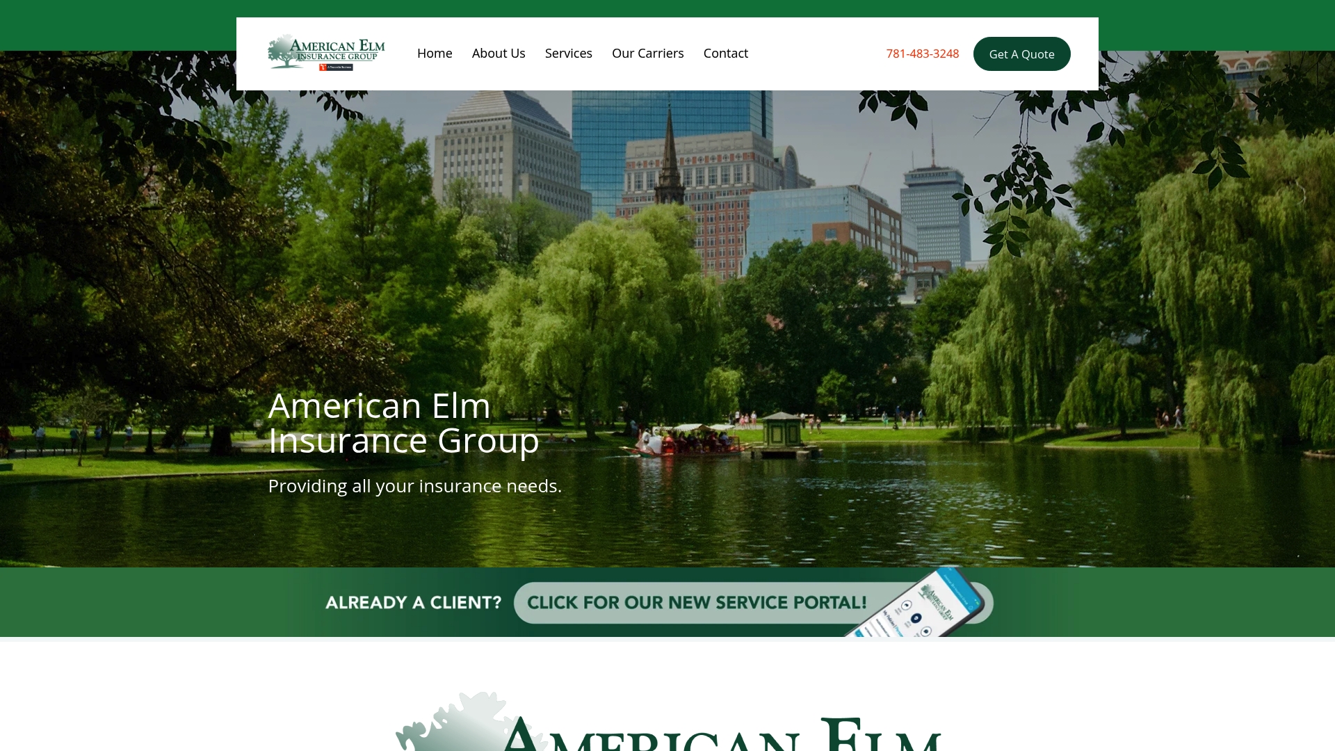 https://americanelmins.com