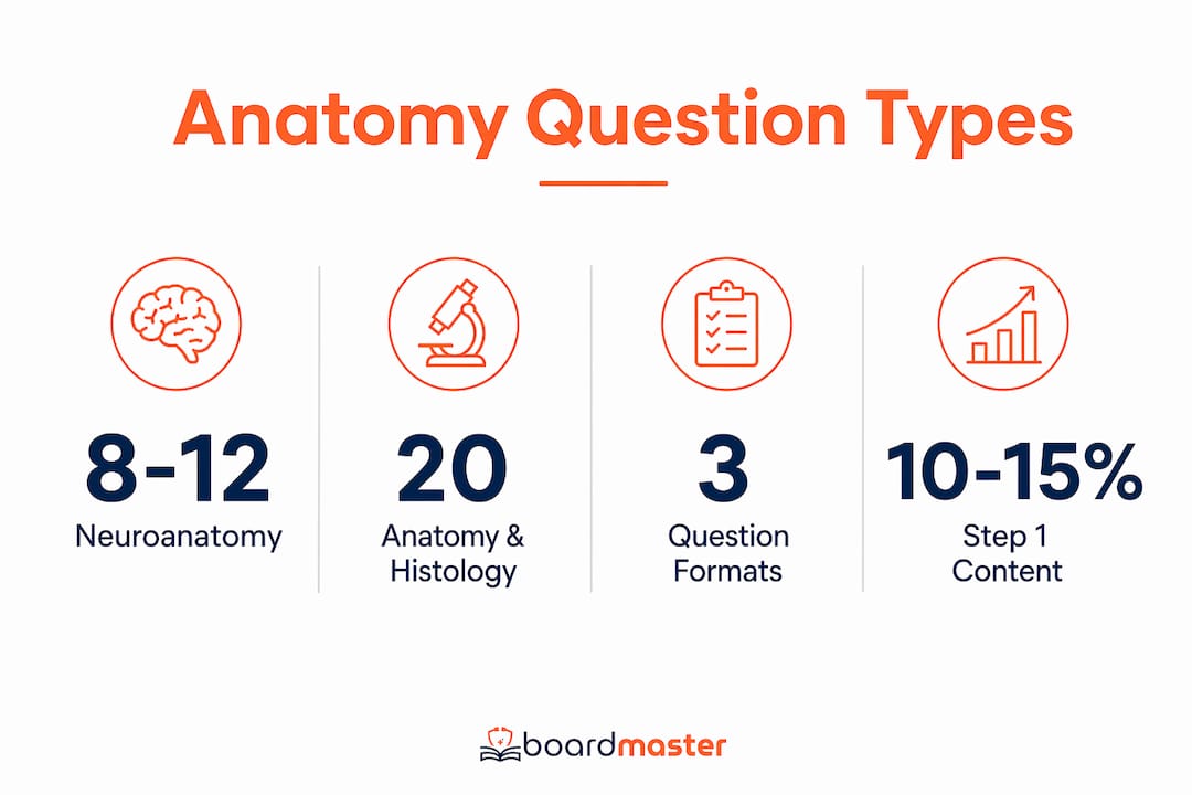 Infographic showing key USMLE anatomy question statistics