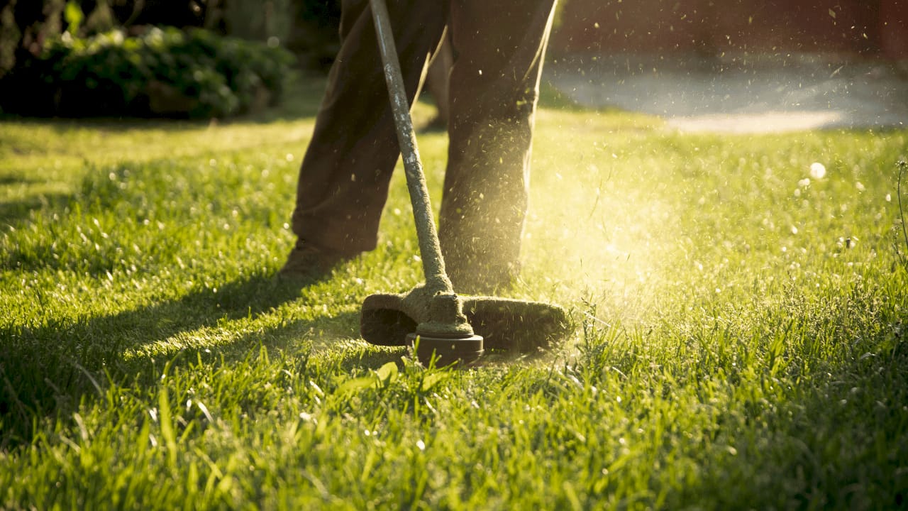 Close-up hands pushing manual lawn mower
