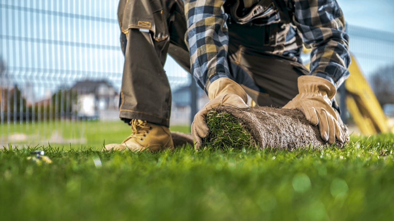 Infographic showing steps for effective lawn care