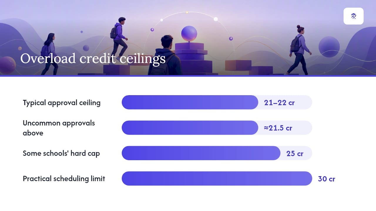 How the Credit Overload Petition Process Actually Works — overview diagram