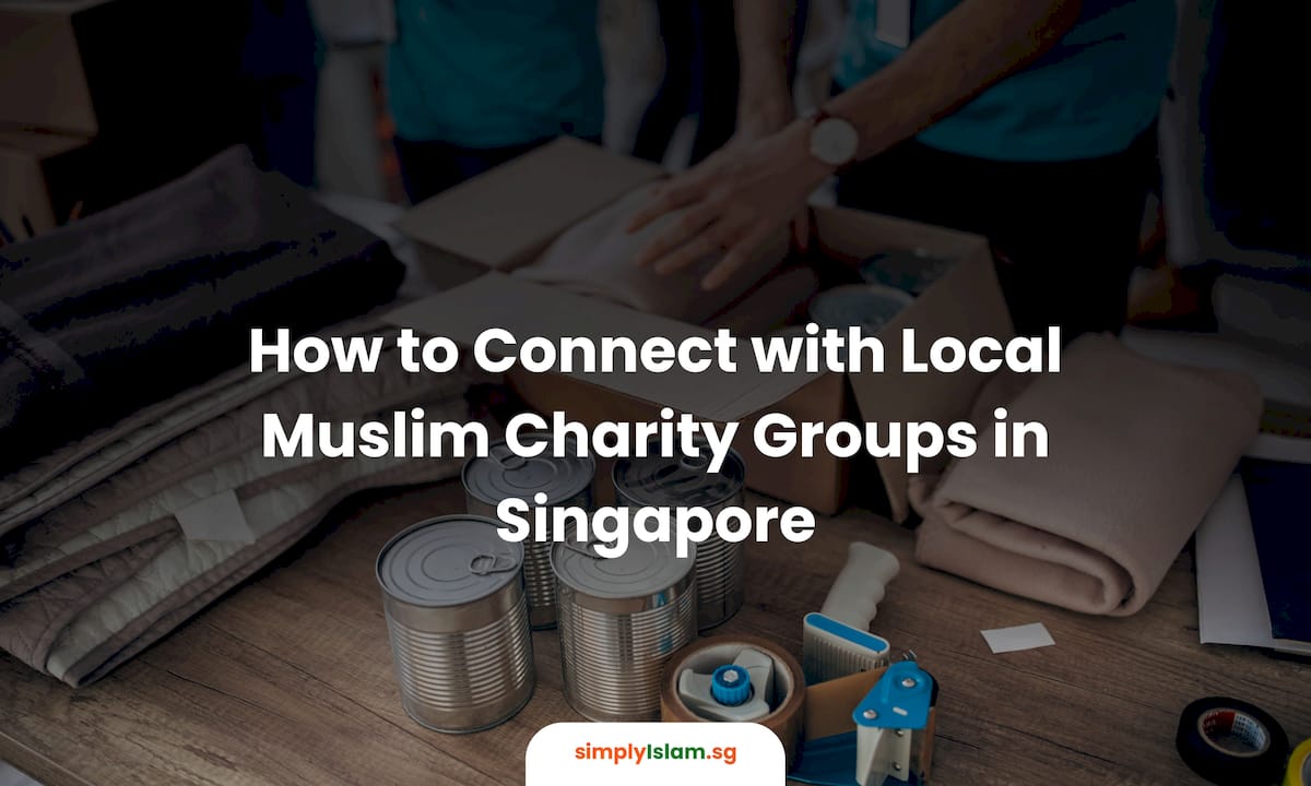 Volunteer packing food parcels for charity