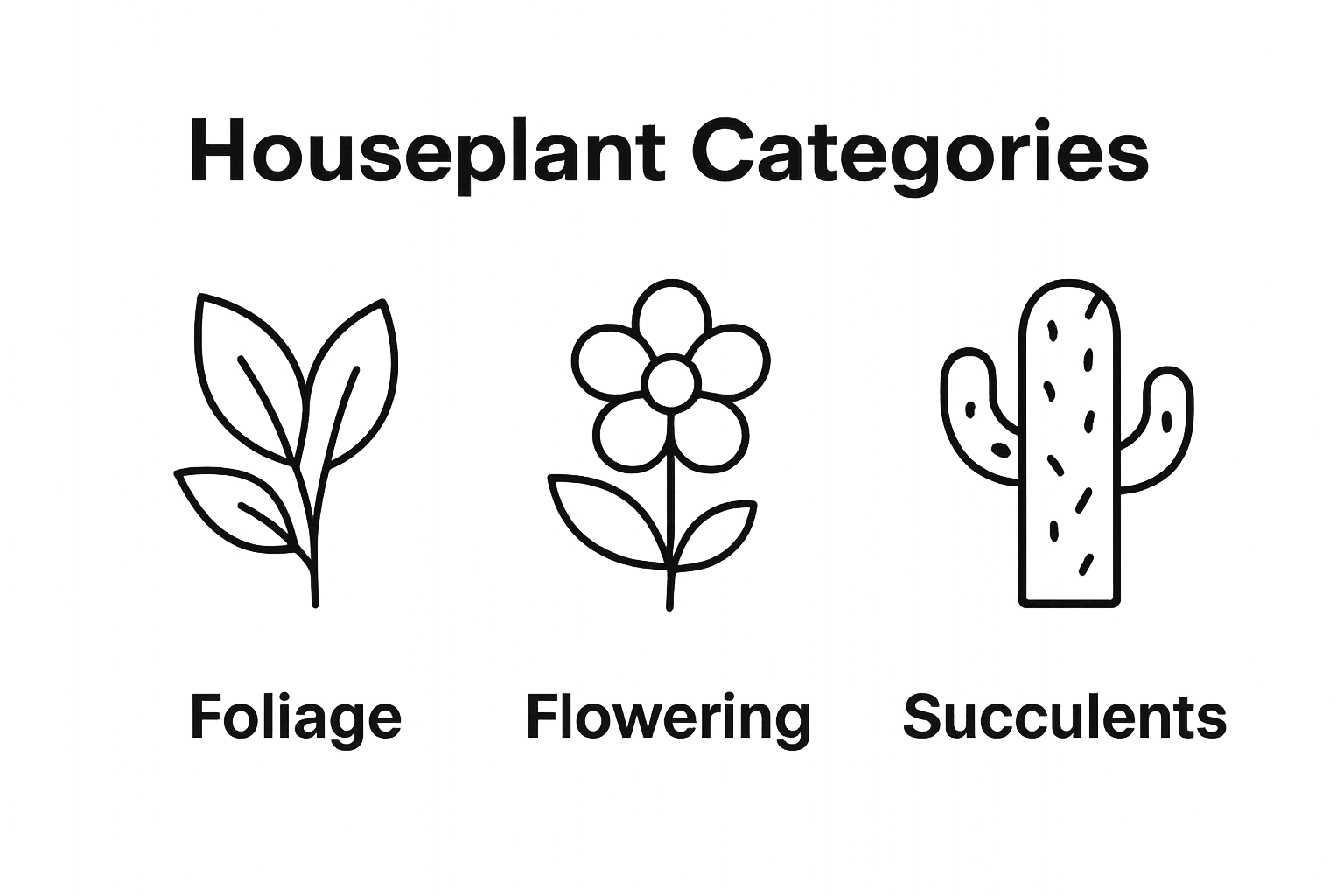 Infographic comparing main houseplant types visually