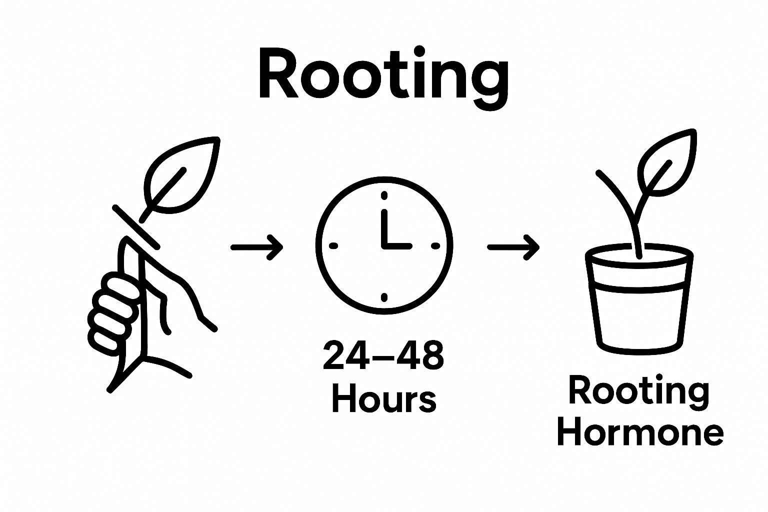 Three-step visual guide for preparing snake plant cuttings