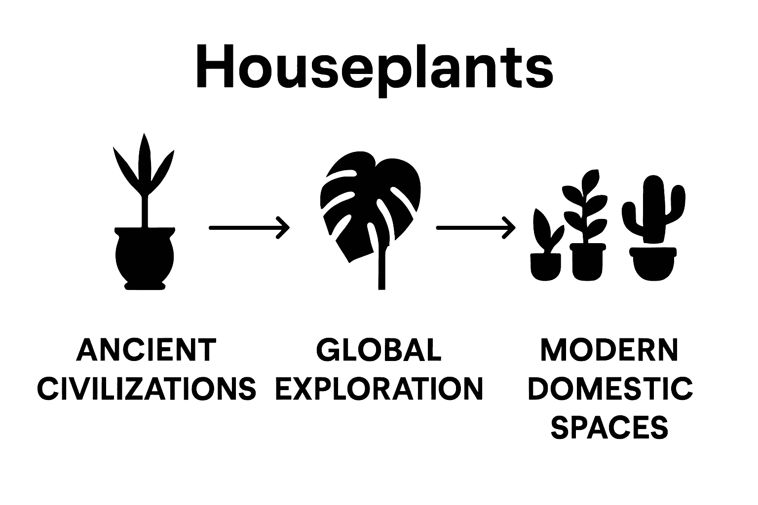 Timeline of houseplant history with three eras