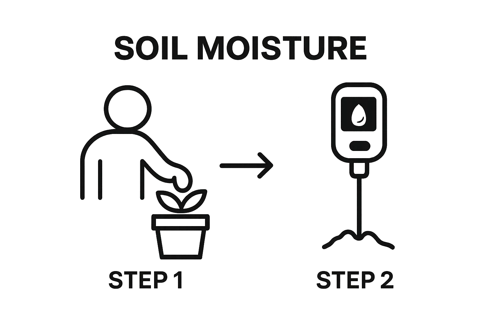 Infographic showing finger and moisture meter checking plant soil