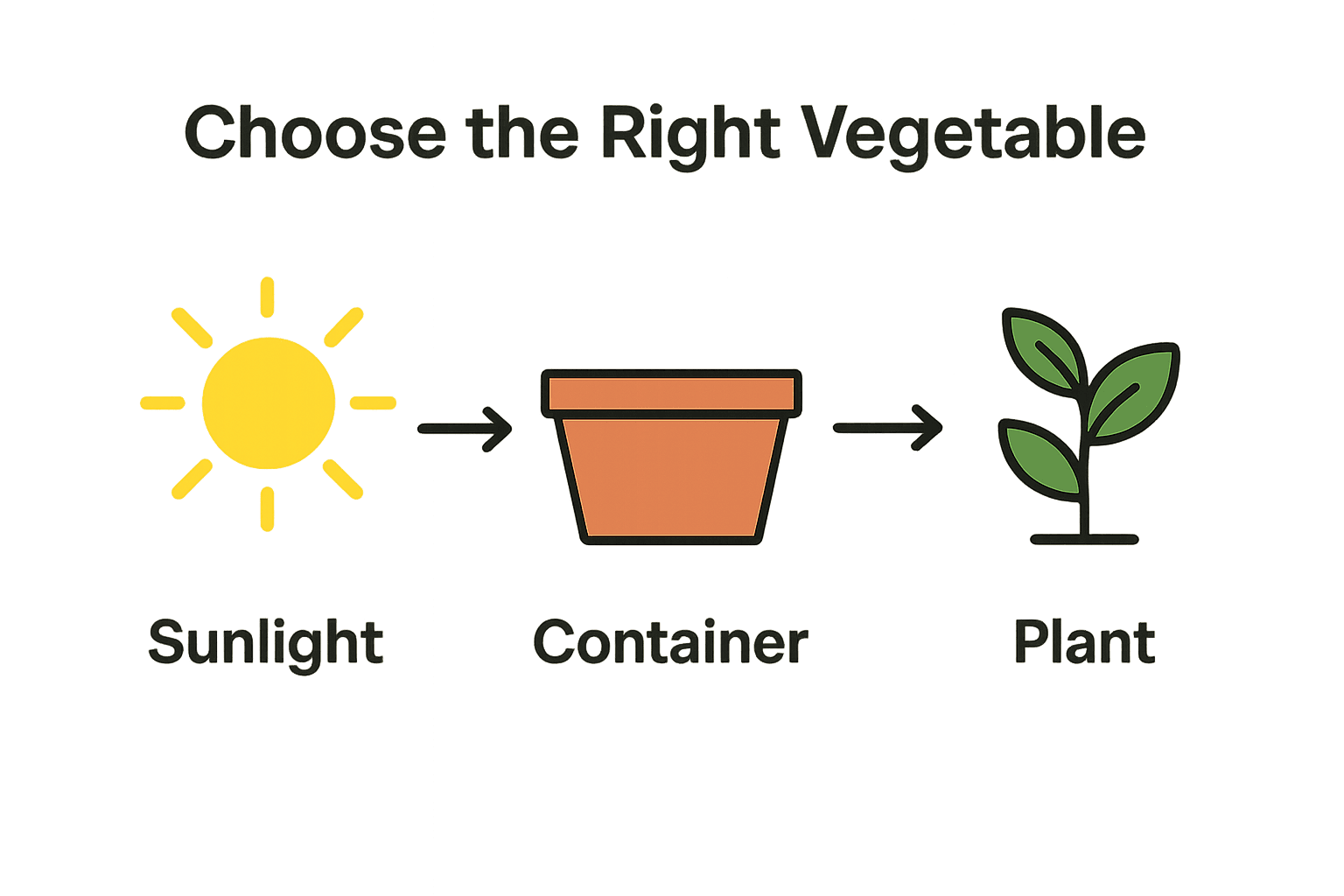 Infographic showing sunlight, container, and plant for balcony gardening