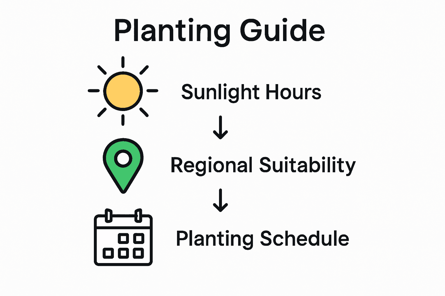 Infographic: sunlight, region selection, planting calendar