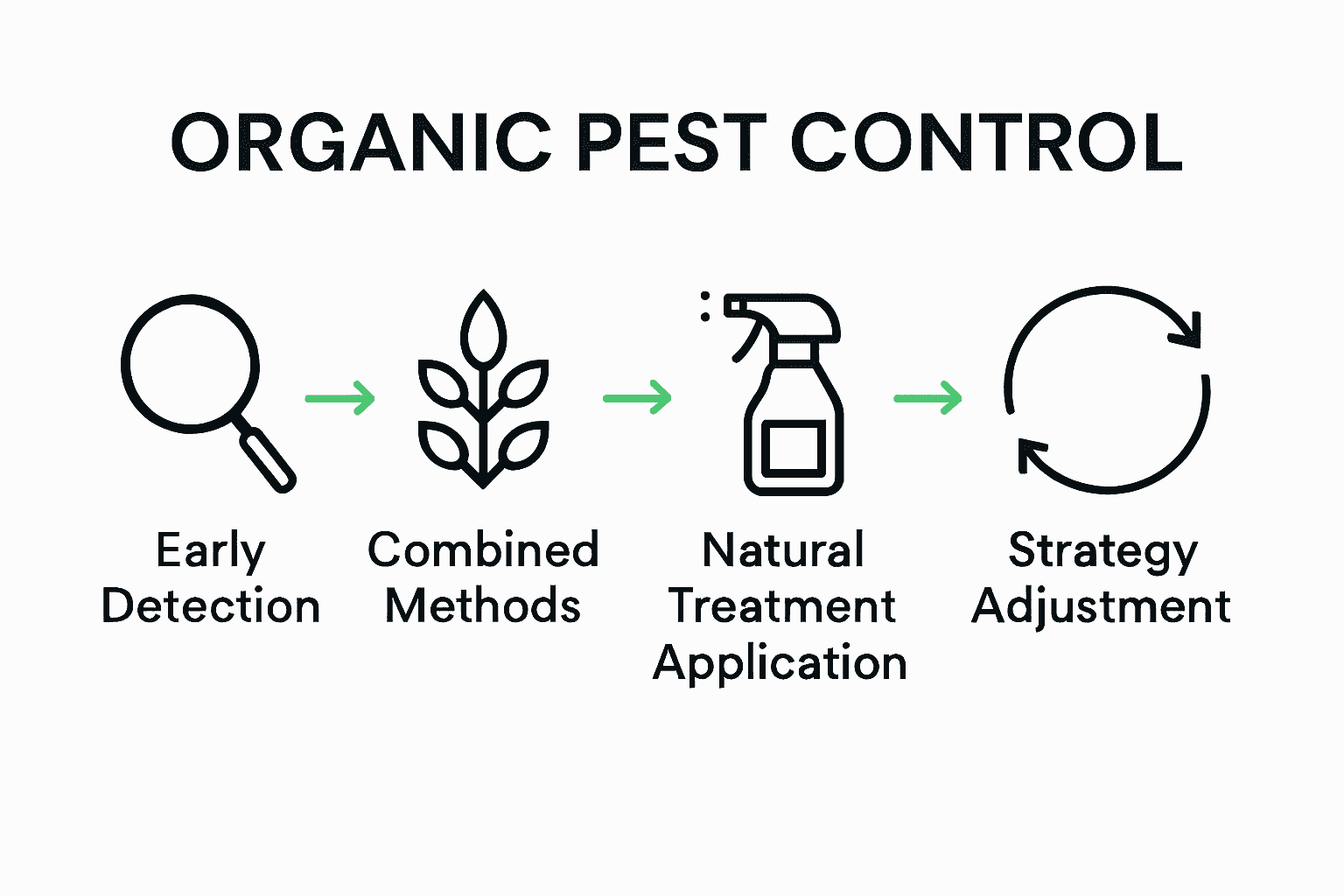 Five steps for organic pest control illustrated visually