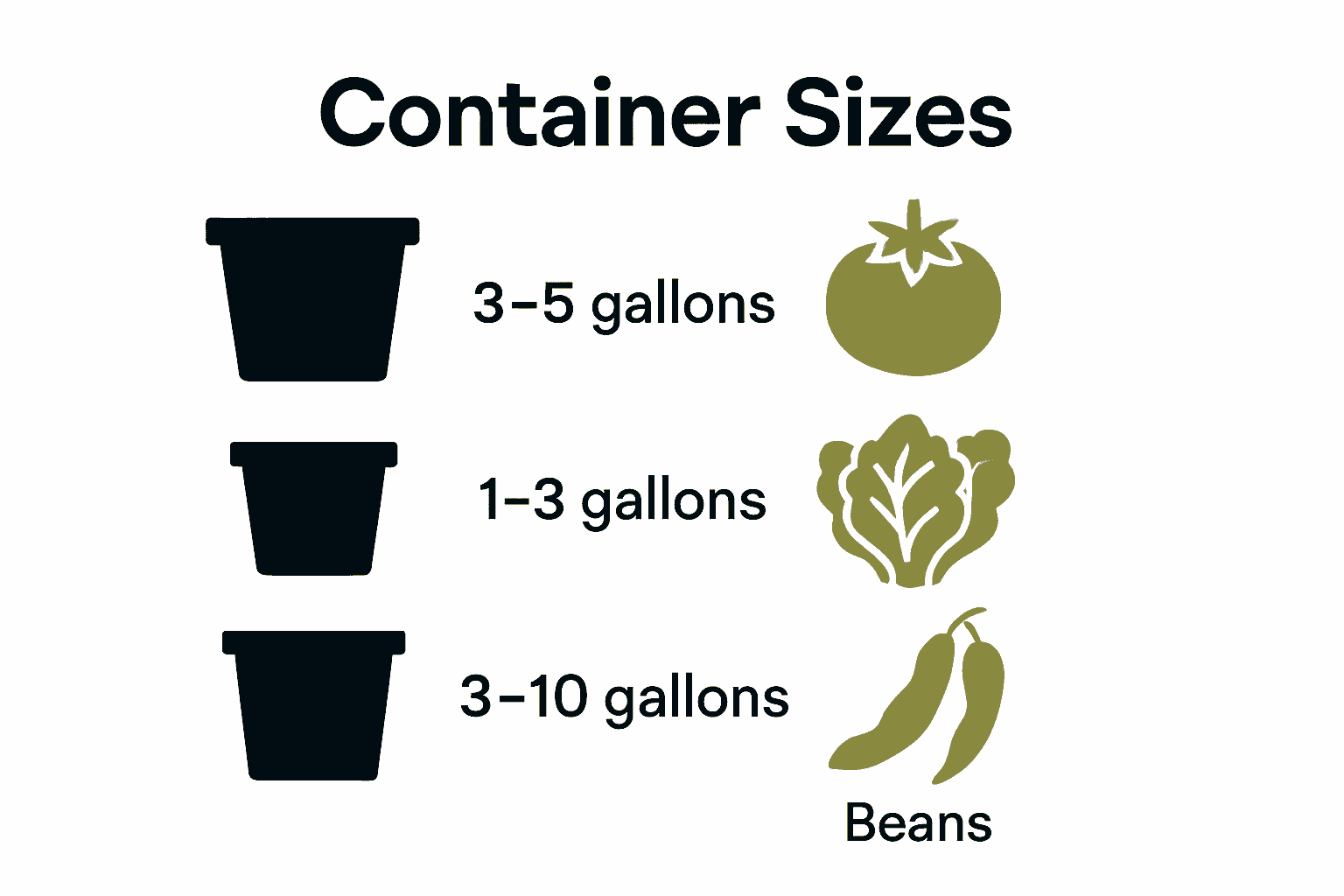 Infographic comparing recommended container sizes for different vegetables.