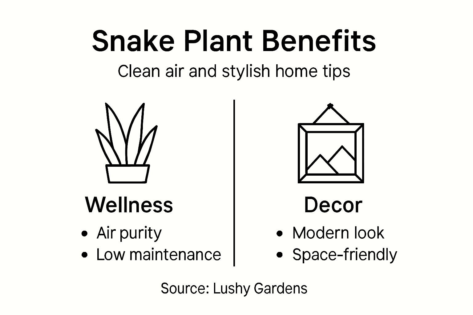 Infographic: snake plant benefits for home and air