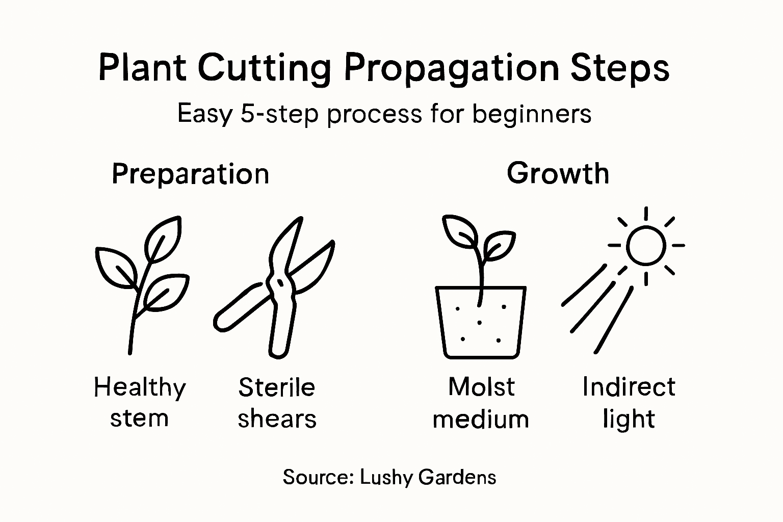 Infographic showing plant cutting propagation steps